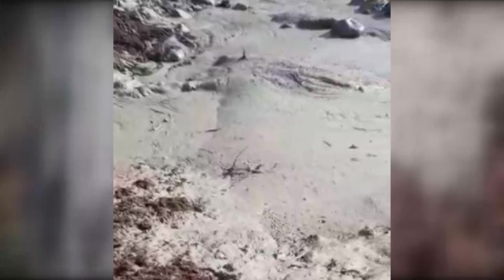 Şebinkarahisar'da çevre felaketi: Siyanür atıklarının toplandığı havuz patladı
