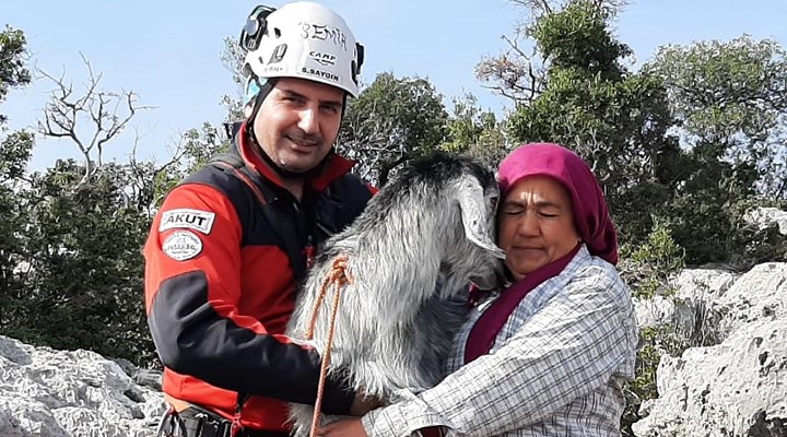 Mersin'de uçurumda mahsur kalan keçiler kurtarıldı