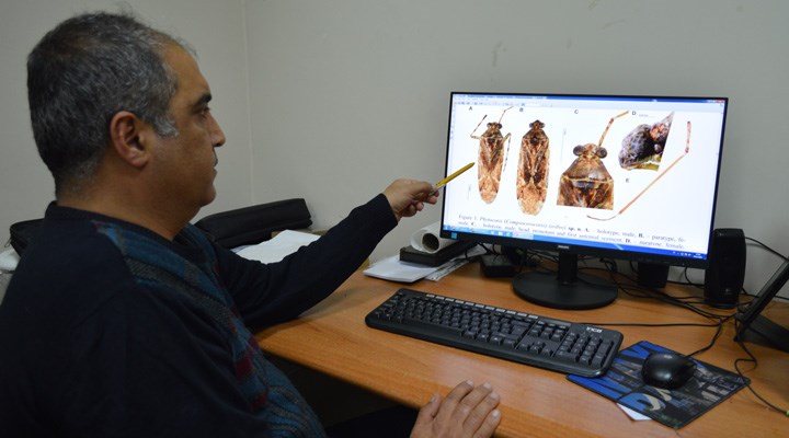 Mardin’de bulunan böceğe, eski DP’li bakanın adını verdiler