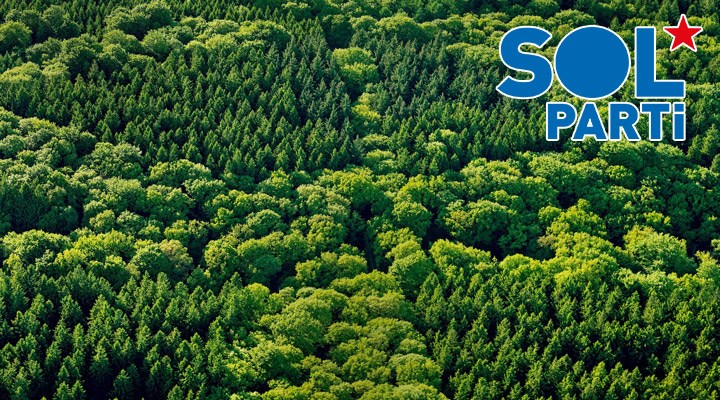 SOL Parti Ekoloji Çalışma Grubu'ndan Orman Kanunu'ndaki değişikliklere tepki: Biraz onurunuz varsa istifa edin!