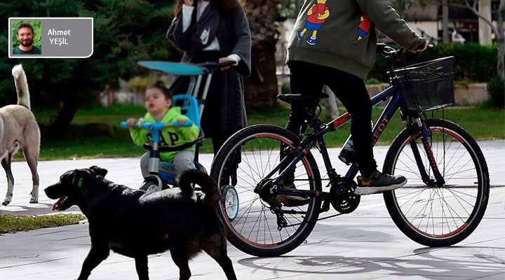 Bisikletçiler ve sokak köpekleri