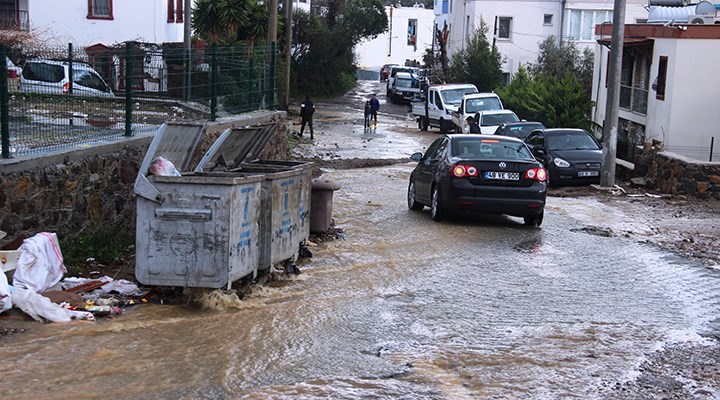 Bodrum'da sağanak: Onlarca ev sular altında kaldı, sokak hayvanları boğuldu