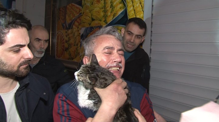 Yanan binada mahsur kalan kedi Pıtır, kalp masajıyla kurtarıldı