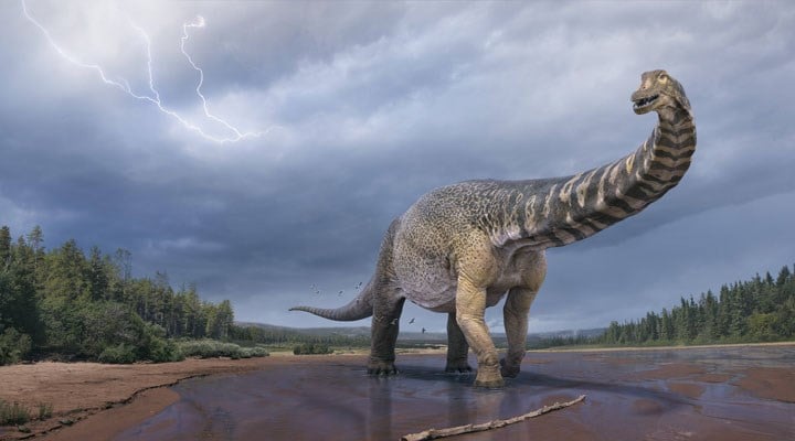 Araştırma: Dinozorları yok eden meteorun Dünya’ya yılın hangi diliminde çarptığı belirlendi