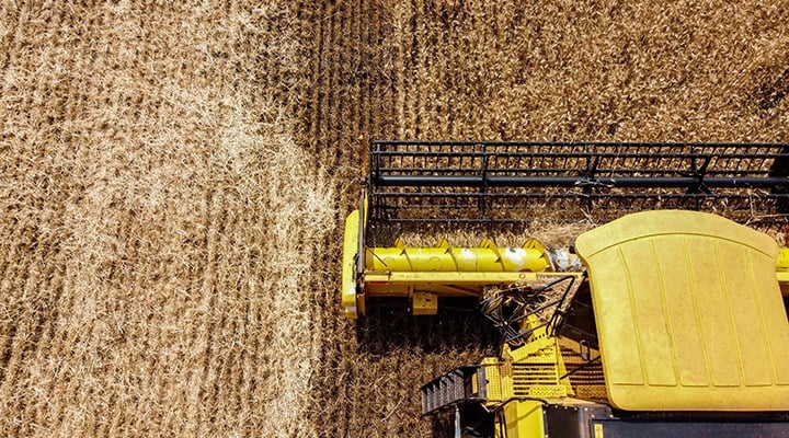 Buğday fiyatları uçtu: Türkiye 6 bin liradan buğday ithal edecek