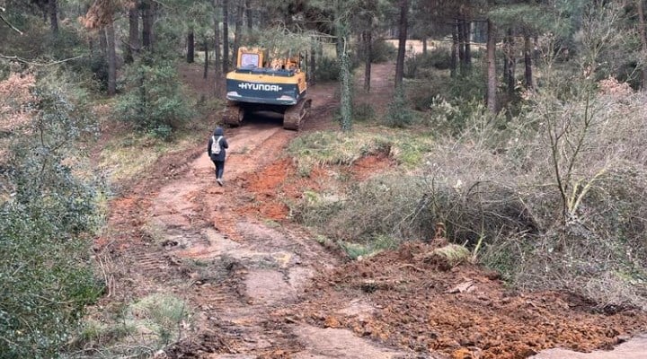 Millet bahçesi için Aydos Ormanları’nda ağaç katliamı