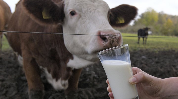 Ulusal Süt Konseyi, çiğ süt tavsiye fiyatını belirledi