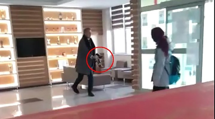 Kayseri'de kediye tekme atan okul müdürü hakkında soruşturma