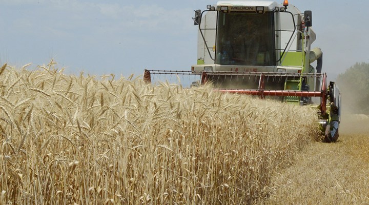 TMO'dan buğdaya yüzde 22 zam: Ekmek zammı olarak dönecek