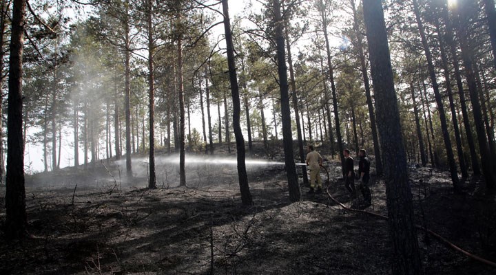 Kastamonu'da ormanlık alanda çıkan yangın söndürüldü