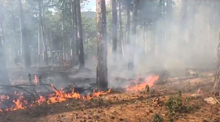 Balıkesir’de orman yangını: 3 saatte söndürüldü