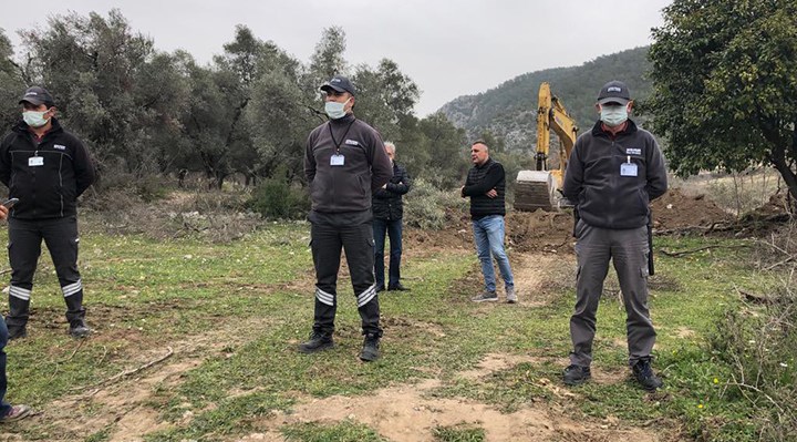 CHP'li vekillerden zeytin tepkisi: Devletin koruması gereken zeytin alanlarını vatandaş korumaya çalışıyor