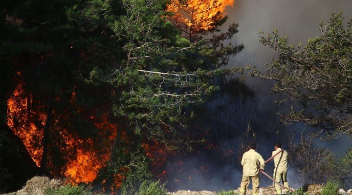 Hatay’daki orman yangınında iki tutuklama