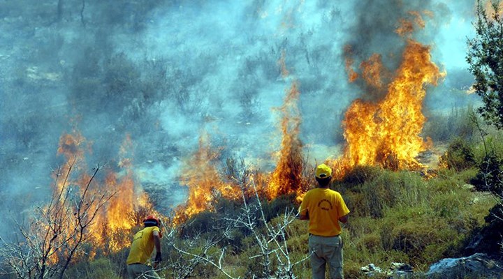 CHP'den madde hatırlatması: "Orman yangınları için hala alınan bir tedbir yok"