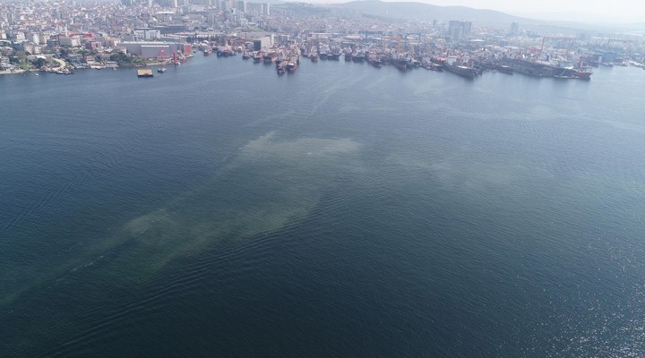 İstanbul'da müsilaj endişesi: Tuzla ve Kadıköy sahillerinde kirlilik görüldü