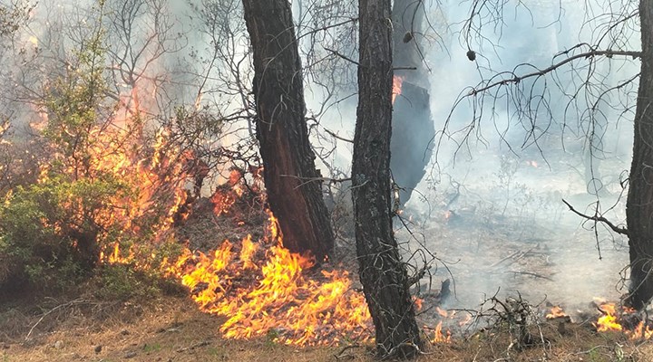 Pamukkale'de 1 günde 2 orman yangını