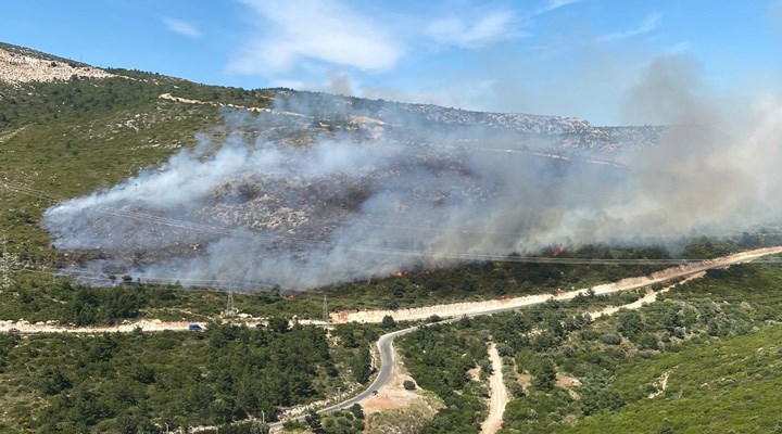 İzmir'in Urla ve Dikili ilçelerinde çıkan orman yangınları kontrol altına alındı