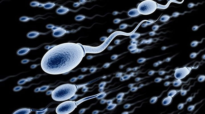 Araştırma: Vücudumuza karışan bazı kimyasallar erkeklerde sperm kalitesini düşürüyor
