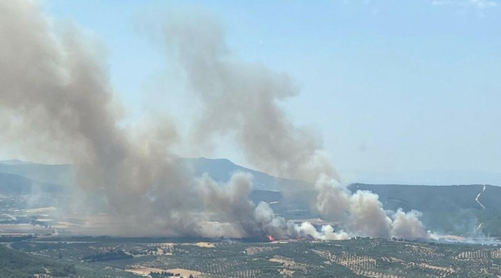 İzmir'in Foça ilçesinde çıkan orman yangını kontrol altına alındı