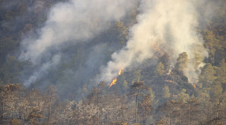 Marmaris'teki orman yangında üçüncü gün: "3 bin hektarlık alan etkilendi"