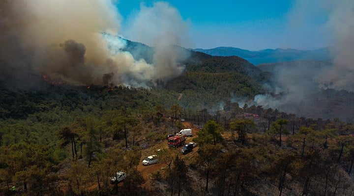 Orman yangınlarının araştırılması için verilen önergeler AKP ve MHP oylarıyla reddedildi