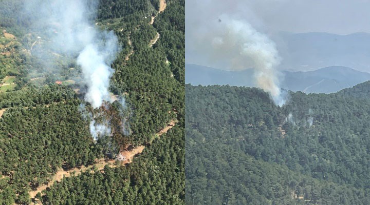 İzmir'in Kemalpaşa ilçesindeki orman yangını kontrol altına alındı