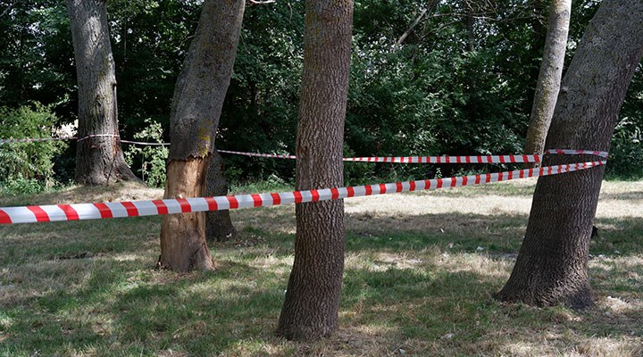 Edirne'de ormanlara giriş 3 ay yasaklandı