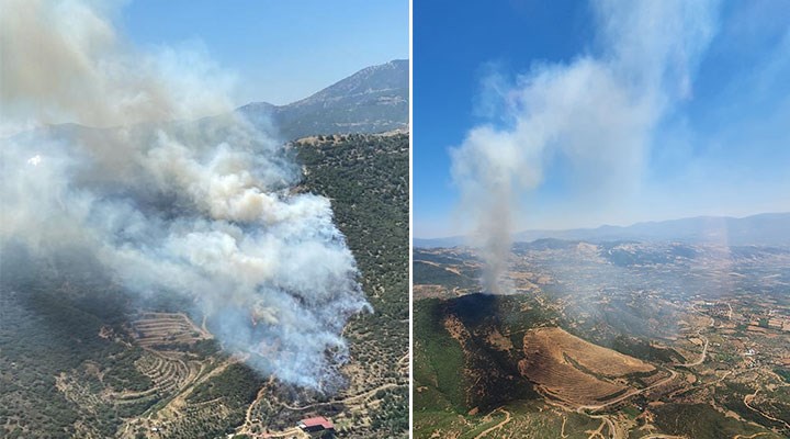 İzmir'in Ödemiş ilçesindeki orman yangını kontrol altına alındı