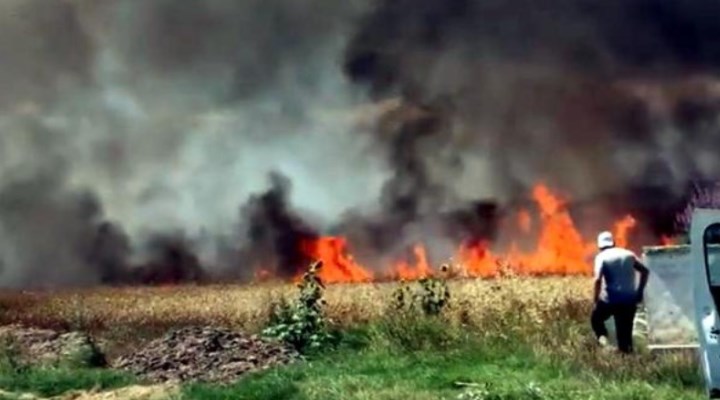 Tekirdağ'da buğday ekili 25 dönüm alan yandı