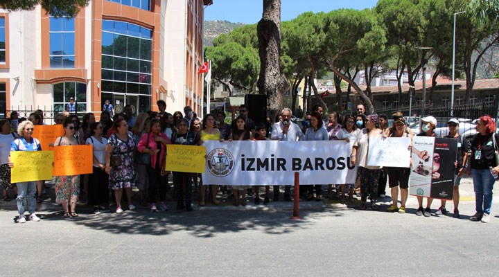 'AKP'li belediyede hayvan katliamı' iddiasına tepki: Sorumlular cezalandırılsın