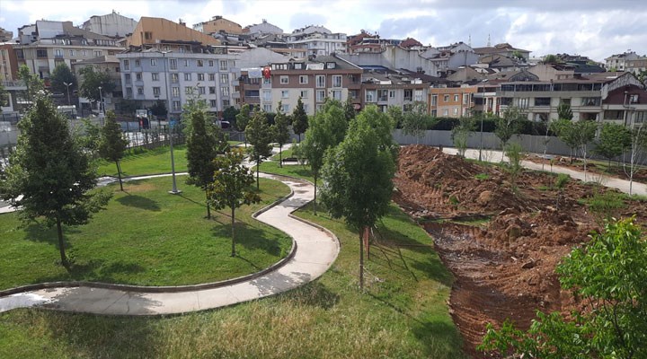 AKP’li belediye ağaçları sulatmadığı park için İBB’ye yazı gönderdi: Ağaçları sökün