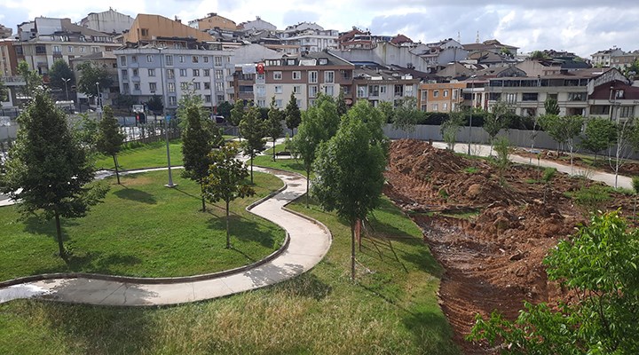 AKP’li belediye İBB’ye yazı gönderdi: Ağaçları sökün