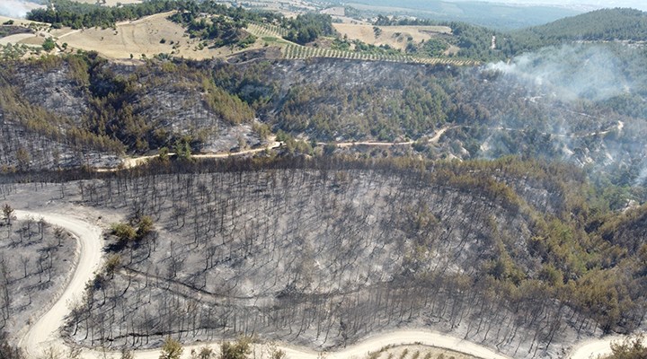 Manisa'daki orman yangınıyla ilgili 2 kişi tutuklandı