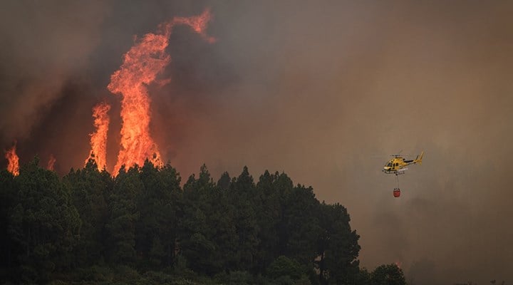 Hollandalı firma: İspanya'daki orman yangınından biz sorumluyuz