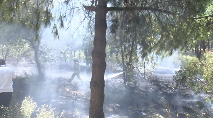 Bakırköy'de hastane bahçesinin iki ayrı noktasında yangın çıktı