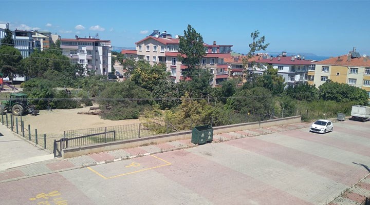 Sinop Gerze’de okul bahçesindeki 20-25 yıllık çam ağaçları ek bina gerekçesiyle kesildi!