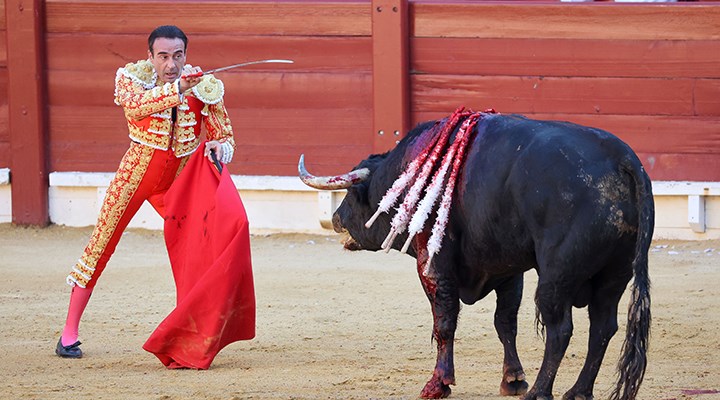 İspanya'da hayvan koruma yasası onaylandı: Sirkler yasaklandı, boğa güreşleri serbest