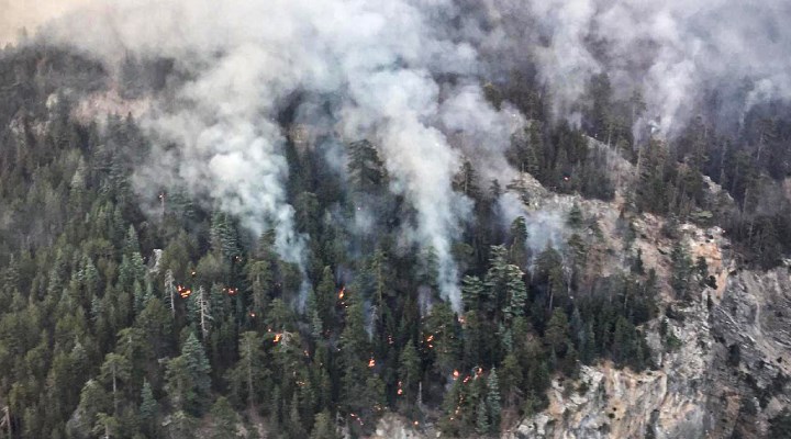 Mersin'deki orman yangını 4'üncü gününde kontrol altına alındı