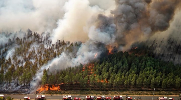Fransa'da orman yangını: 7 bin 400 hektarlık alan küle döndü