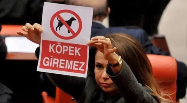 Meclis'te 'köpek giremez' afişi göstermişti: Süleyman Soylu'nun danışmanı oldu