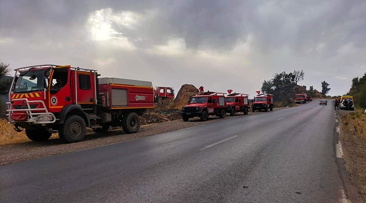 Cezayir'deki orman yangınlarında can kaybı 41'e yükseldi: 3 gözaltı