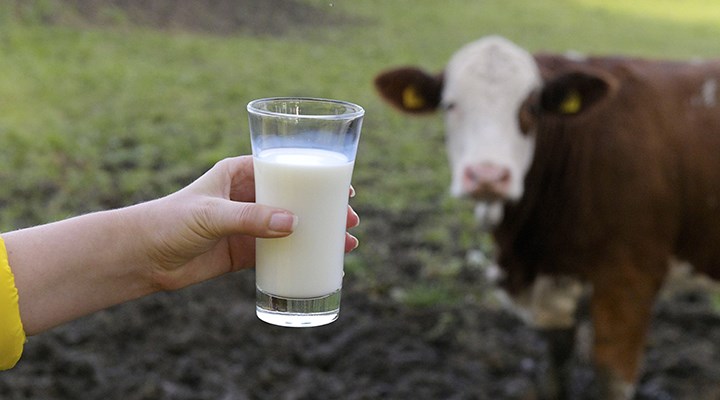 "Türkiye yakında süt kriziyle karşı karşıya kalabilir"