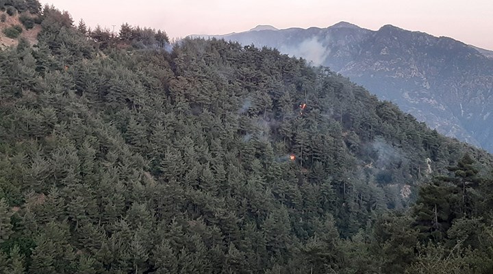 Maraş'taki orman yangını kısmen kontrol altında