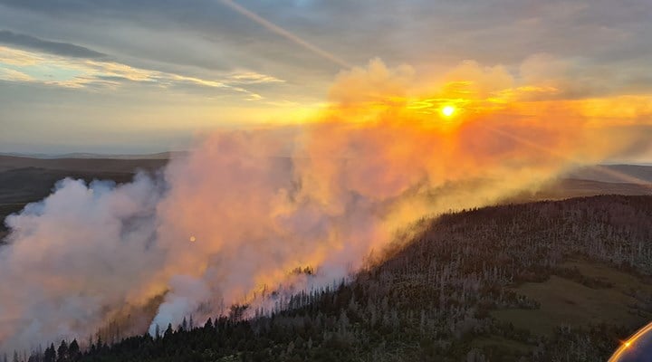 Almanya’da Harz Dağları'ndaki yangın nedeniyle acil durum ilan edildi