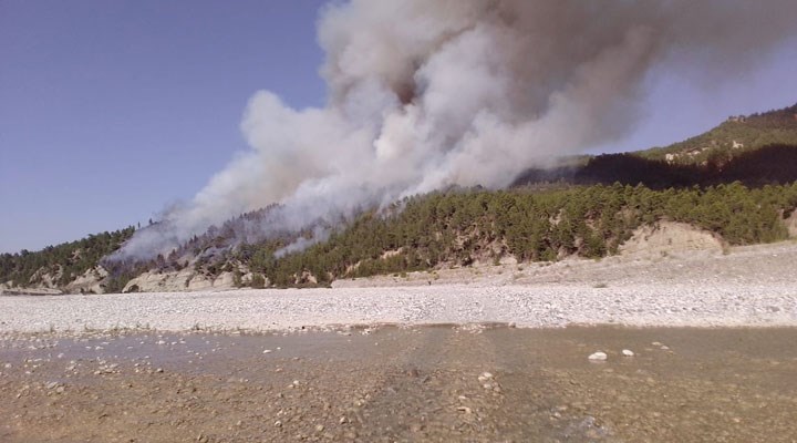 Denizli - Muğla il sınırında orman yangını