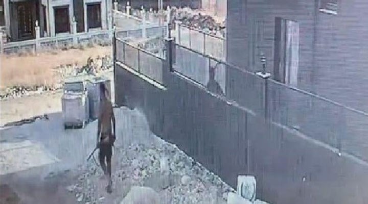Adana'da bir kişi yavru köpeği silahla öldürdü