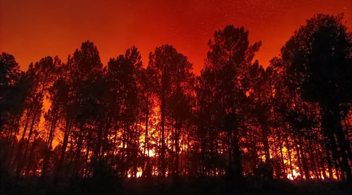 Fransa'da Gironde vilayetindeki yangında 3 bin hektardan fazla yeşil alan yandı