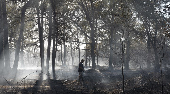 Fransa'da orman yangını: 3 bin 600 hektar ormanlık alan küle döndü