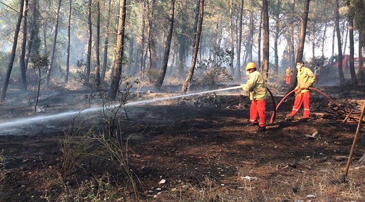 Antalya'nın Kumluca ilçesinde çıkan orman yangını kontrol altına alındı