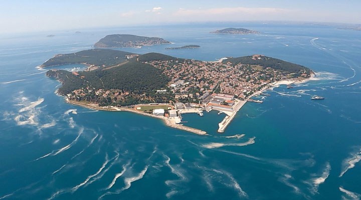 Marmara Denizi için tehlike çanları çalıyor: "İstilacı türler kapıda"